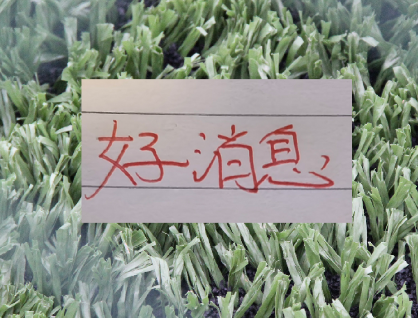 九游电脑版下载-也是好消息！申花单场独造三球王牌 很有可能第四轮复出
